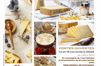 PORTES OUVERTES – 14 et 15 novembre 2025